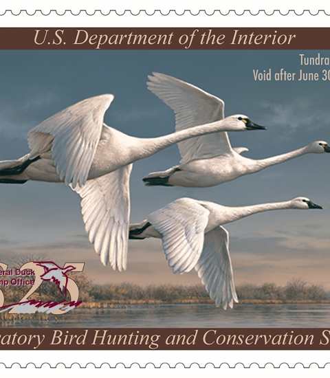 Federal Duck Stamp U.S. Fish Wildlife Service